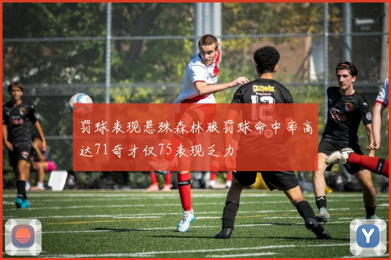 罚球表现悬殊森林狼罚球命中率高达71奇才仅75表现乏力