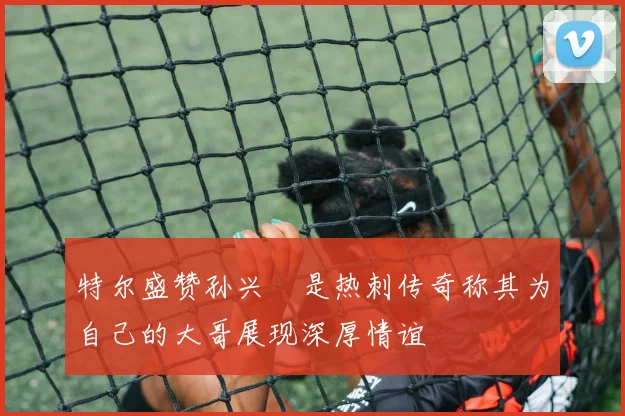 特尔盛赞孙兴慜是热刺传奇称其为自己的大哥展现深厚情谊