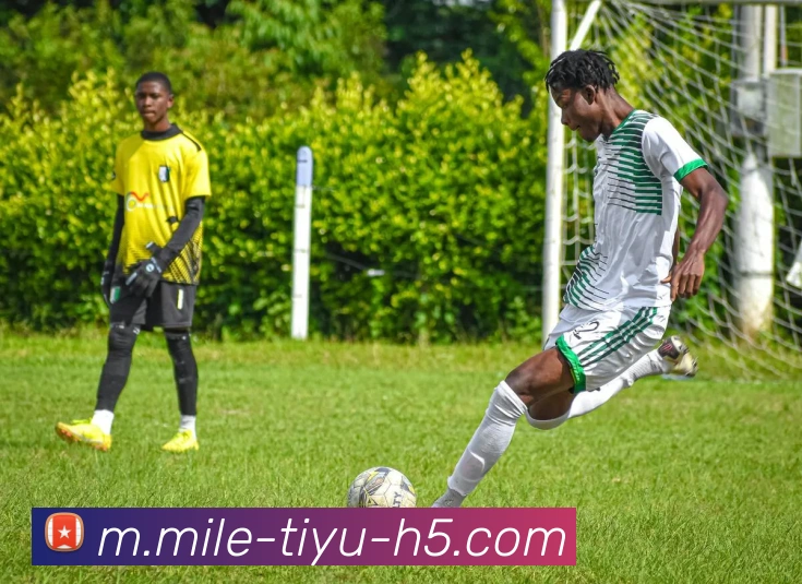 米乐体育APP 封面图